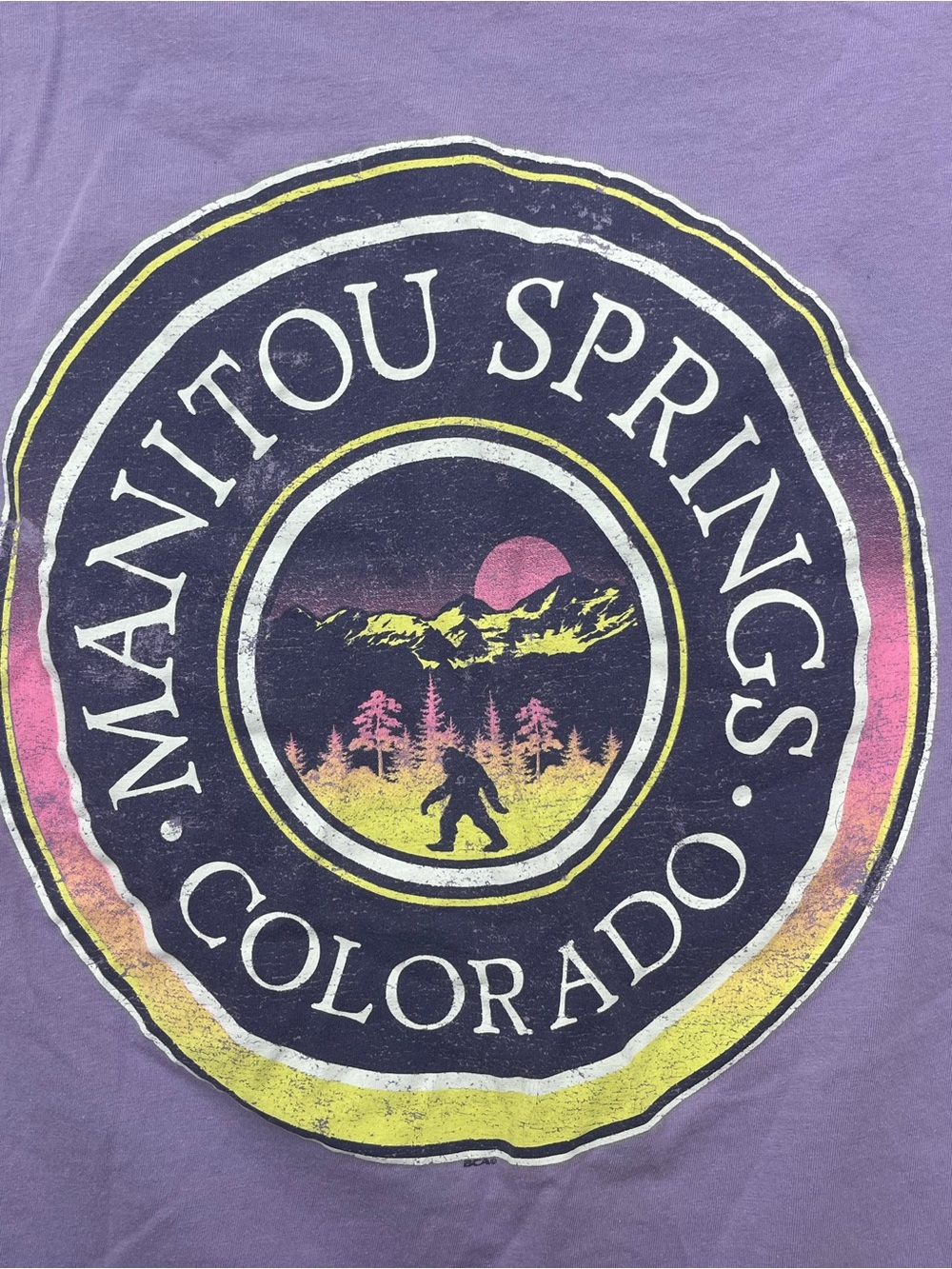 Smart Blanks Adult Manitou Springs Colorado Sasquatch Bigfoot Mountain T-Shirt M